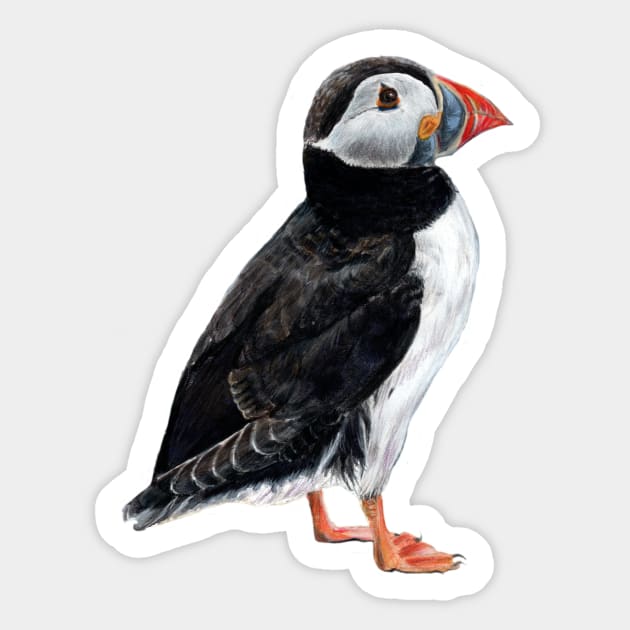 Puffin colored pencil drawing Sticker by thryngreen